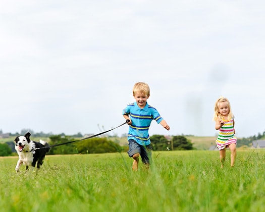 Zwei Kinder mit Hund auf Wiese laufend